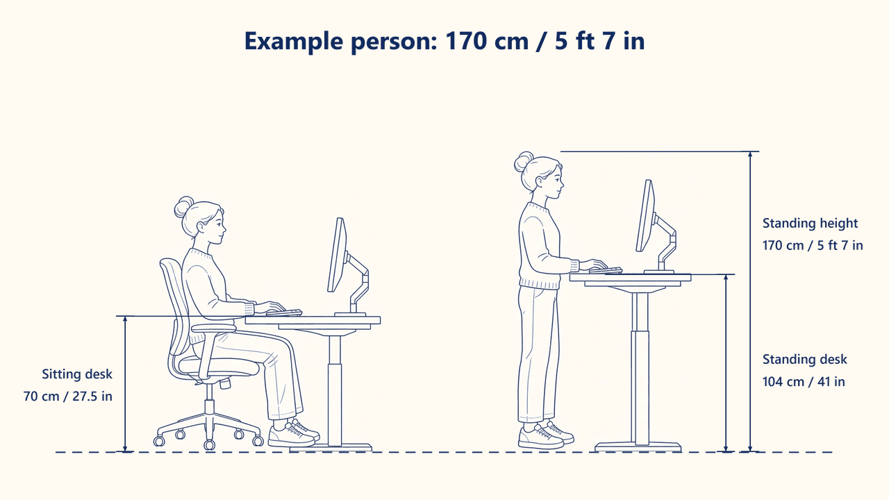 Side-by-side guide for a 170 cm person: sitting desk at 70 cm (27.5 in) and standing height 170 cm (5 ft 7 in) with the desk at 104 cm (41 in).
